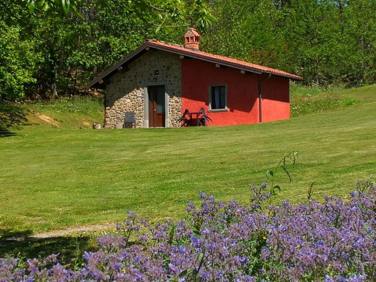 Agriturismo Braccicorti Pieve Fosciana Εξωτερικό φωτογραφία