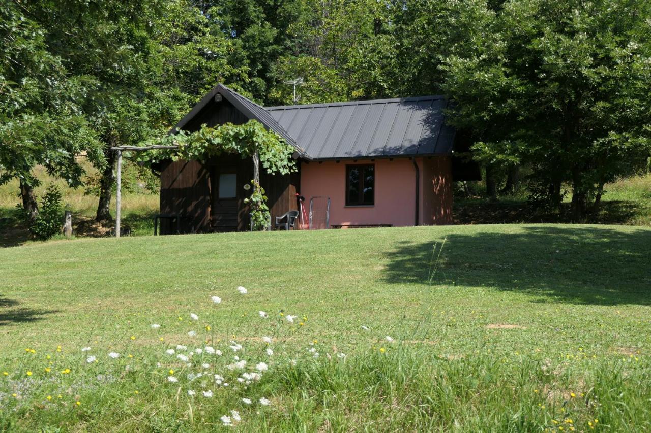 Agriturismo Braccicorti Pieve Fosciana Εξωτερικό φωτογραφία