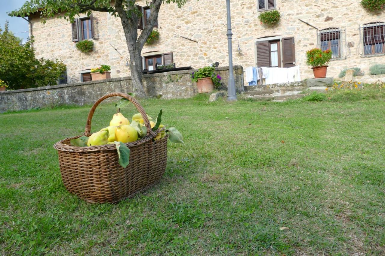 Agriturismo Braccicorti Pieve Fosciana Εξωτερικό φωτογραφία