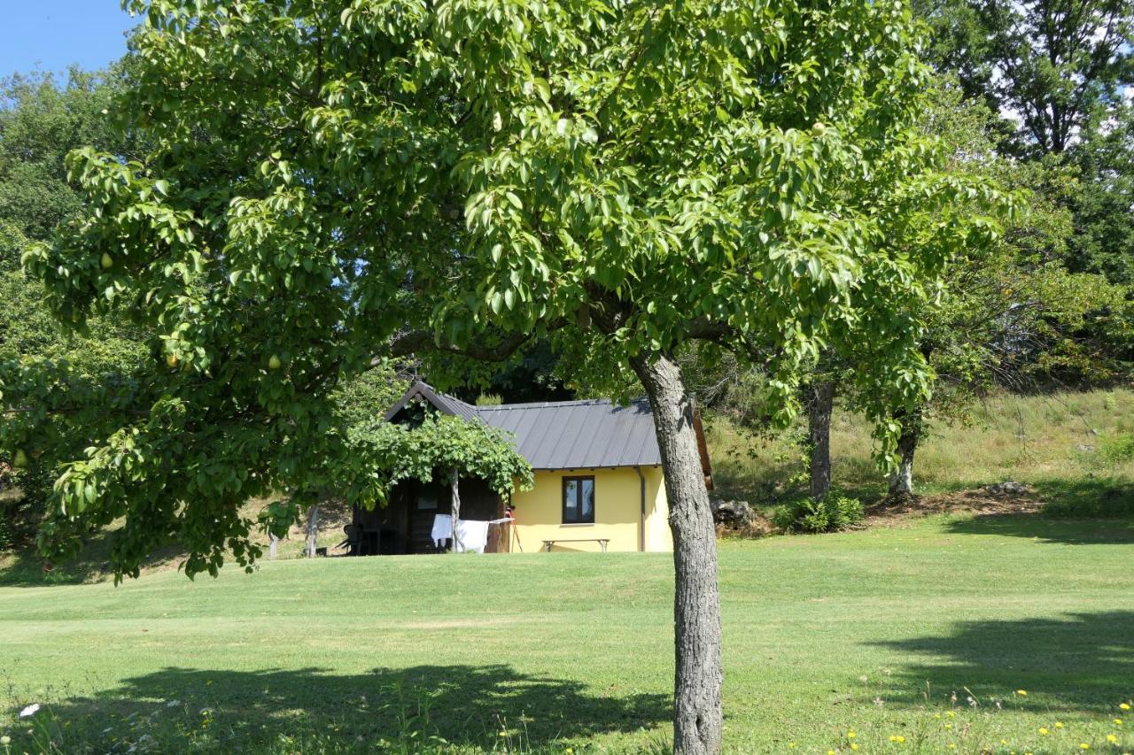 Agriturismo Braccicorti Pieve Fosciana Εξωτερικό φωτογραφία