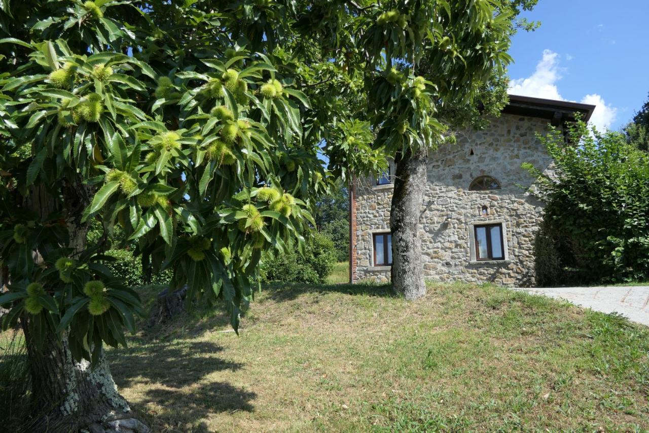 Agriturismo Braccicorti Pieve Fosciana Εξωτερικό φωτογραφία