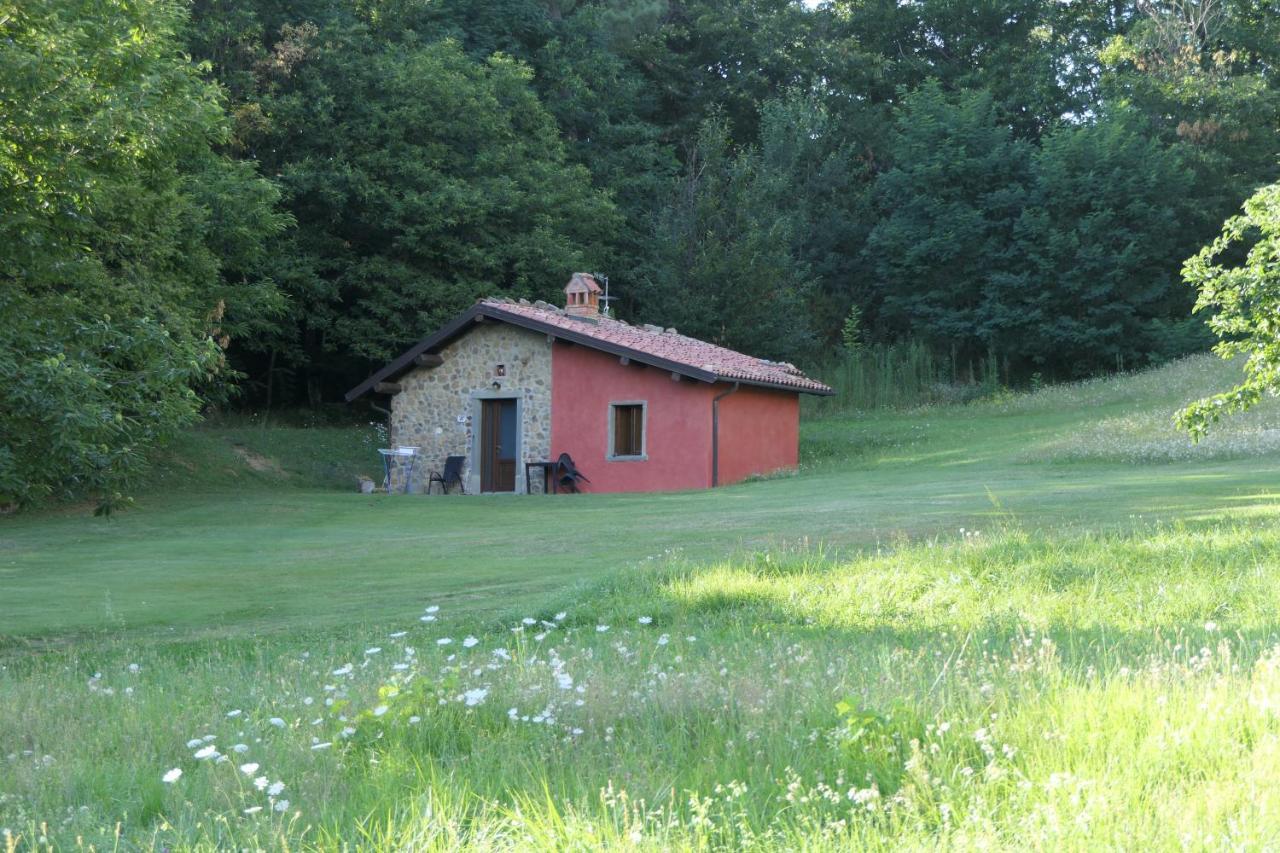 Agriturismo Braccicorti Pieve Fosciana Εξωτερικό φωτογραφία