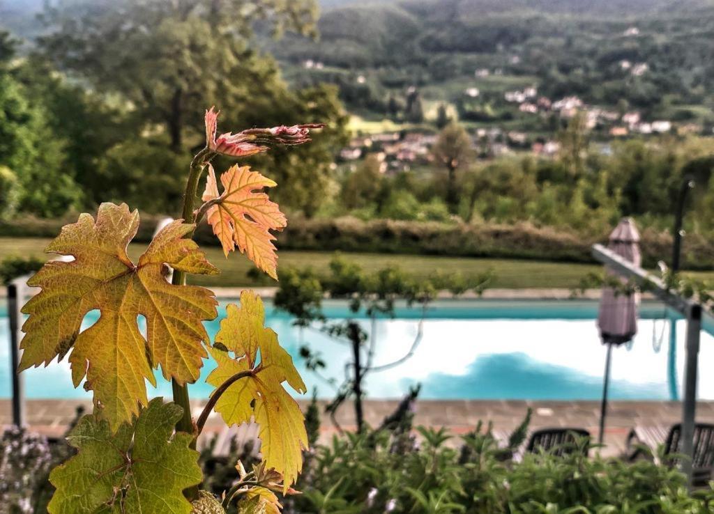 Agriturismo Braccicorti Pieve Fosciana Εξωτερικό φωτογραφία