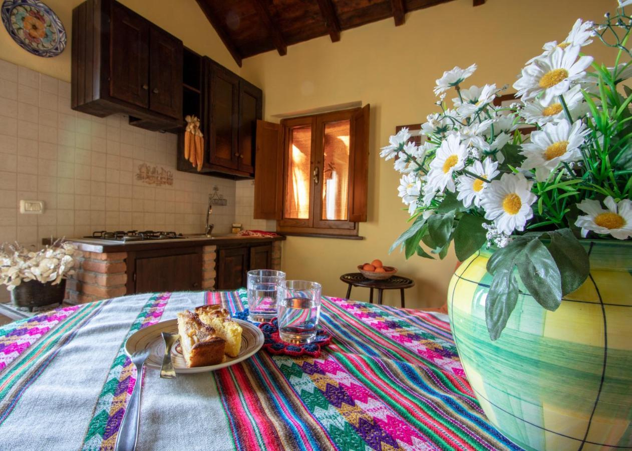 Agriturismo Braccicorti Pieve Fosciana Εξωτερικό φωτογραφία
