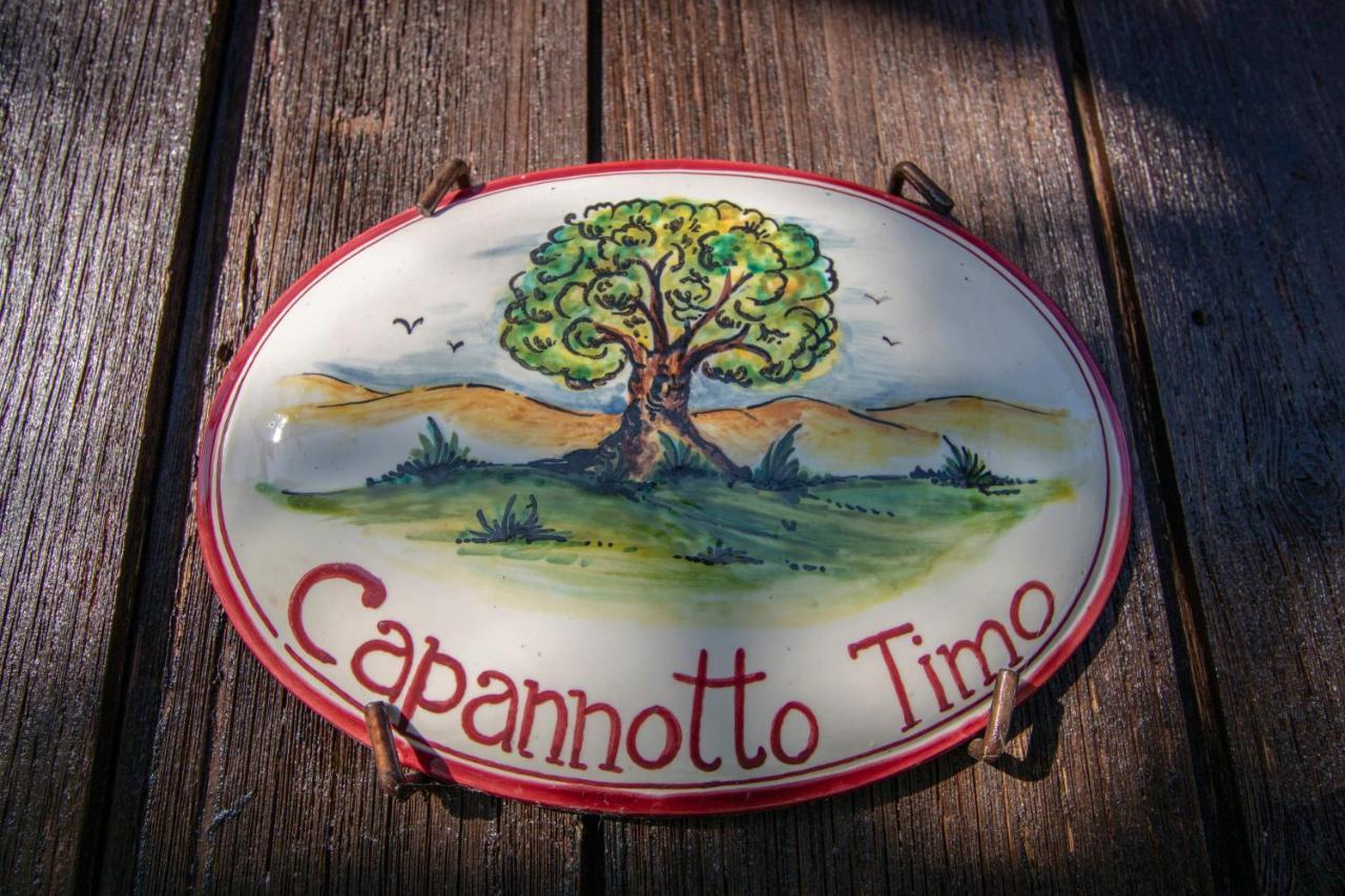 Agriturismo Braccicorti Pieve Fosciana Εξωτερικό φωτογραφία
