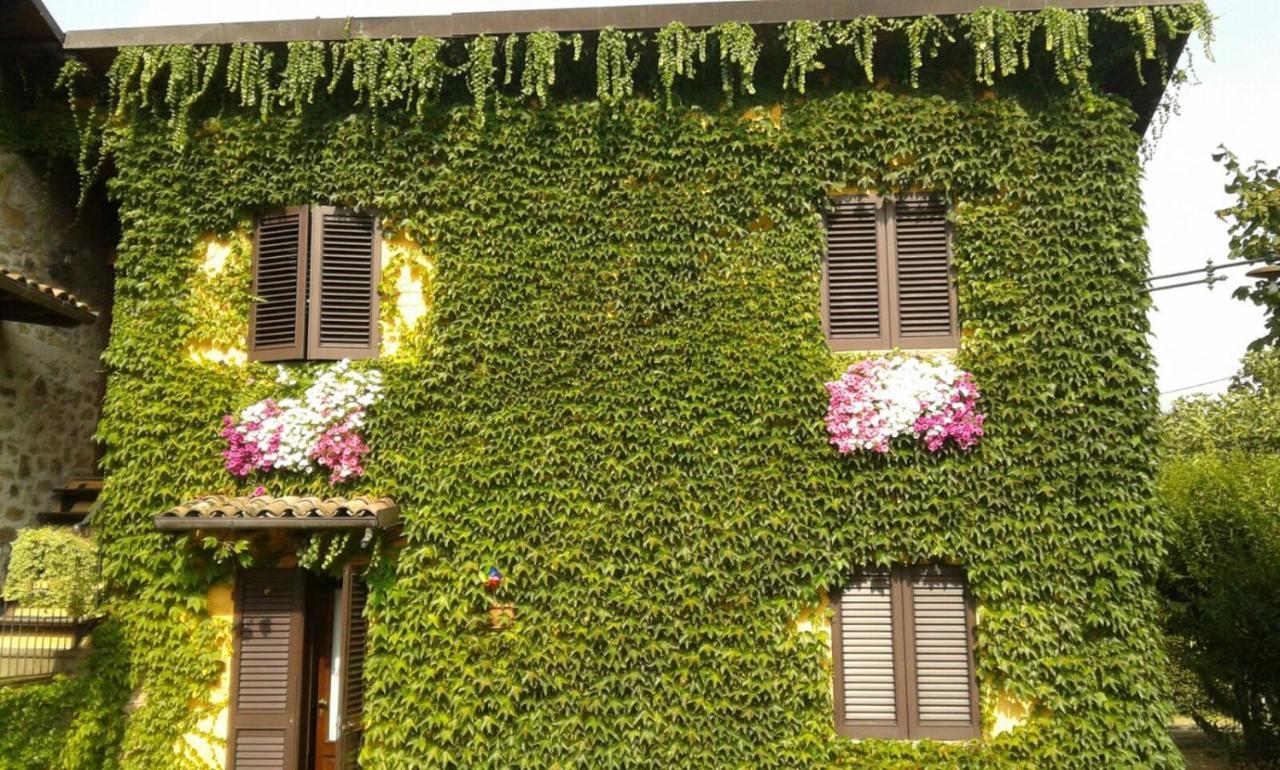 Agriturismo Braccicorti Pieve Fosciana Εξωτερικό φωτογραφία